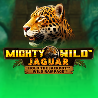 Mighty Wild Jaguar